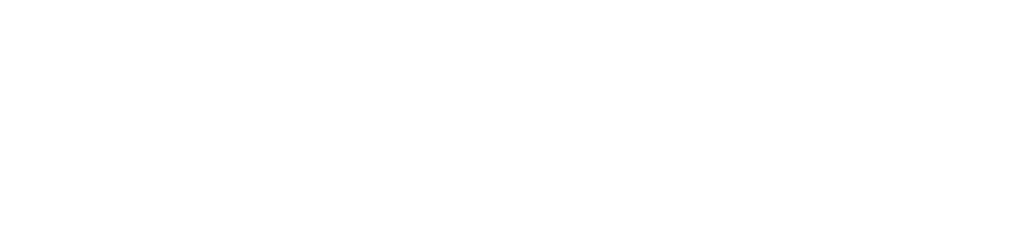 Rozen Group